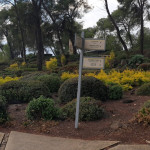 זכינו במכרז לביצוע שיקום גינון ותחזוקה במוזאון חטיבת גולני שנמצא במועצה אזורית גליל תחתון. כייף גדול וזכות חשובה לעצב מקום היסטורי כמו המוזאון גולני. נתננו מאמץ רציני בשביל לעצב צמחיה בצבעים של סמל החטיבה, לגזום שיחיה בשטח מעל 10 ד', לרסס, לשמור על מערכת השקיה ולתת מים לצמחיה בצורה מסודרת למרות נזקים של ציפורים וחיות בר. המרא המרשים של הגן מדבר בפני עצמו. שמחנו לתת שירות.
אם גם לכן ולכם יש צורך לשדרג , לשקם, לעצב גן ולתת תחזוקה אז תפנו עלינו 0546395805 גרג גארדן קלאב- עיצובים