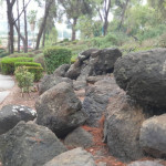 זכינו במכרז לביצוע שיקום גינון ותחזוקה במוזאון חטיבת גולני שנמצא במועצה אזורית גליל תחתון. כייף גדול וזכות חשובה לעצב מקום היסטורי כמו המוזאון גולני. נתננו מאמץ רציני בשביל לעצב צמחיה בצבעים של סמל החטיבה, לגזום שיחיה בשטח מעל 10 ד', לרסס, לשמור על מערכת השקיה ולתת מים לצמחיה בצורה מסודרת למרות נזקים של ציפורים וחיות בר. המרא המרשים של הגן מדבר בפני עצמו. שמחנו לתת שירות.
אם גם לכן ולכם יש צורך לשדרג , לשקם, לעצב גן ולתת תחזוקה אז תפנו עלינו 0546395805 גרג גארדן קלאב- עיצובים