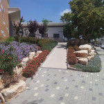 עיצוב ותחזוקה של גארדן קלאב- Garden Club עיצוב ותחזוקה של גארדן קלאב- Garden Club